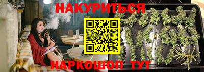 амф Новокубанск