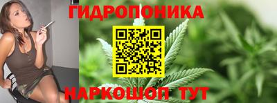 амф Новокубанск