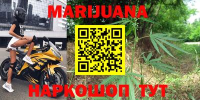 шишки Новозыбков