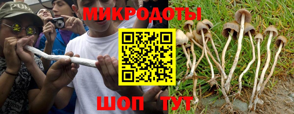 как найти закладки  Галлюциногенные грибы Cubensis  Вход с VPN  Псилоцибиновые грибы Magic Shrooms  Севастополь 