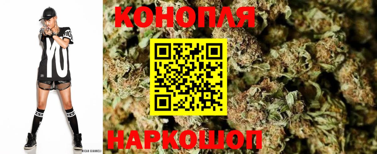 Севастополь  Бошки Шишки сатива  Марихуана план  Вход с VPN 